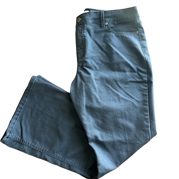 Susan Graver Gray Pants Size 16 P Classic Five Pocket Flared Twill/Denim Fabric - Picture 1 of 12